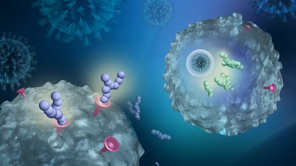 Immunotherapy graphic
