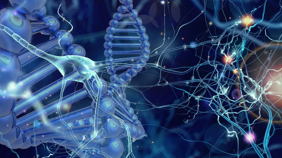 Genetic researchers reveal why some people age better than others and find new connections to Alzheimer’s disease