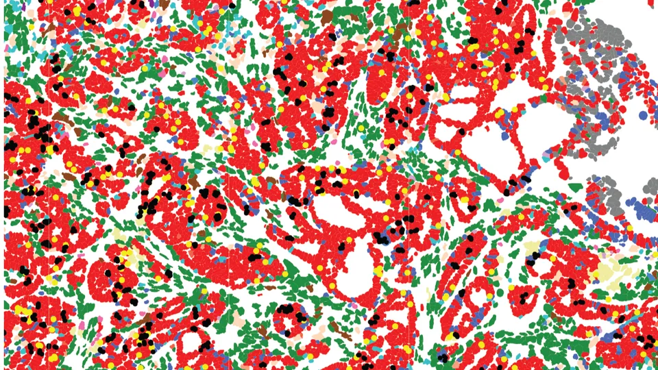 Powerful new tool reveals potential ‘goldmine’ of cancer targets hidden in ‘junk DNA’