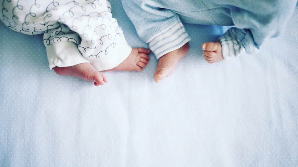 QTwin - the Queensland Twin Registry